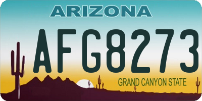 AZ license plate AFG8273