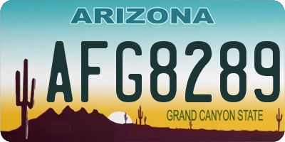 AZ license plate AFG8289
