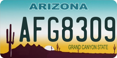 AZ license plate AFG8309