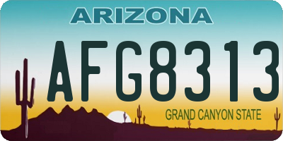 AZ license plate AFG8313