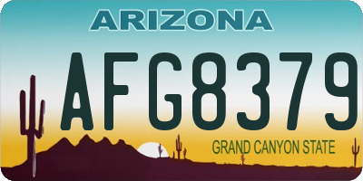 AZ license plate AFG8379