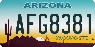 AZ license plate AFG8381