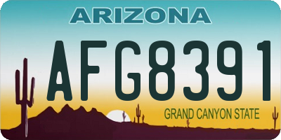 AZ license plate AFG8391