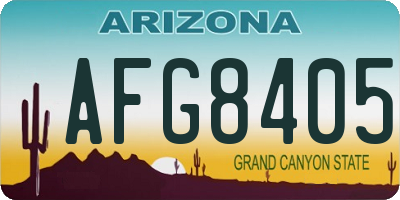 AZ license plate AFG8405
