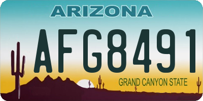 AZ license plate AFG8491