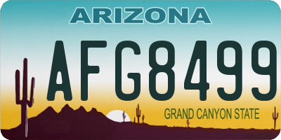 AZ license plate AFG8499