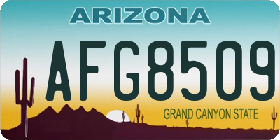 AZ license plate AFG8509