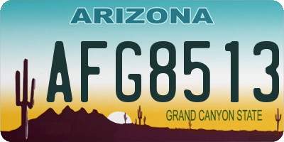 AZ license plate AFG8513
