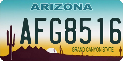 AZ license plate AFG8516