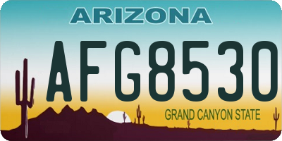 AZ license plate AFG8530