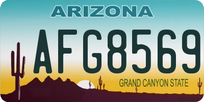 AZ license plate AFG8569