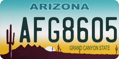 AZ license plate AFG8605
