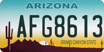 AZ license plate AFG8613