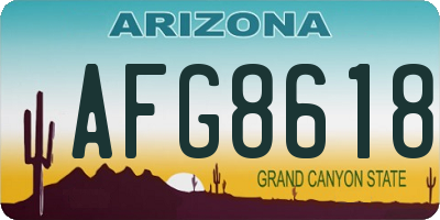 AZ license plate AFG8618
