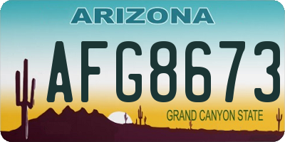 AZ license plate AFG8673