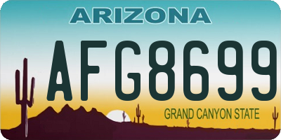 AZ license plate AFG8699