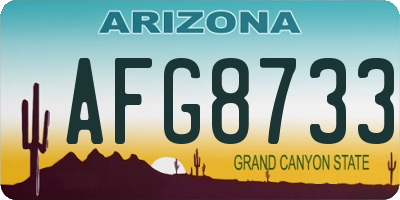 AZ license plate AFG8733