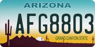 AZ license plate AFG8803