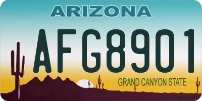 AZ license plate AFG8901