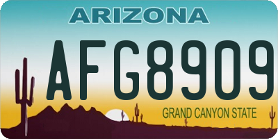 AZ license plate AFG8909