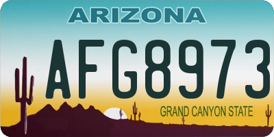AZ license plate AFG8973