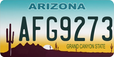 AZ license plate AFG9273