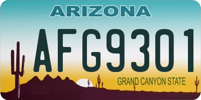 AZ license plate AFG9301