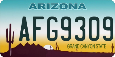 AZ license plate AFG9309
