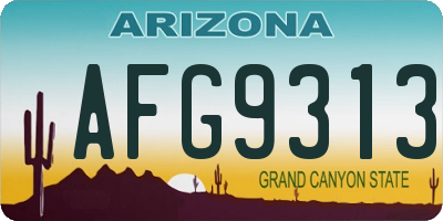 AZ license plate AFG9313