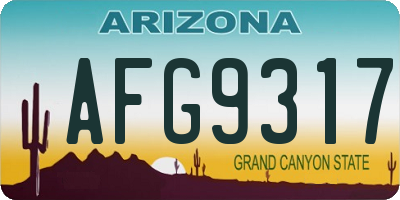 AZ license plate AFG9317