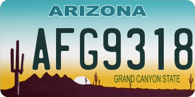 AZ license plate AFG9318