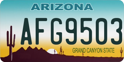 AZ license plate AFG9503