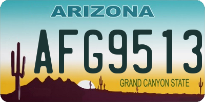 AZ license plate AFG9513