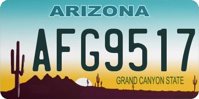 AZ license plate AFG9517