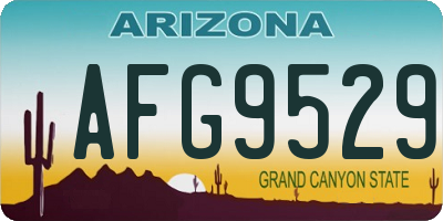 AZ license plate AFG9529
