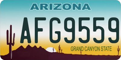 AZ license plate AFG9559