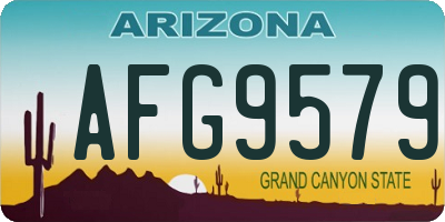 AZ license plate AFG9579