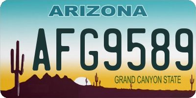 AZ license plate AFG9589