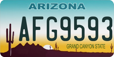 AZ license plate AFG9593