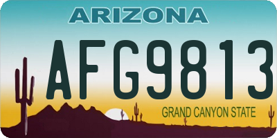 AZ license plate AFG9813