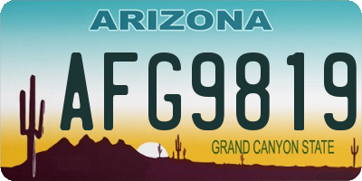 AZ license plate AFG9819