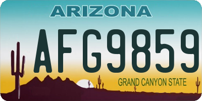 AZ license plate AFG9859