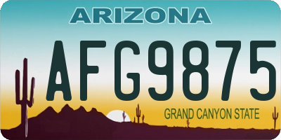AZ license plate AFG9875