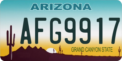 AZ license plate AFG9917