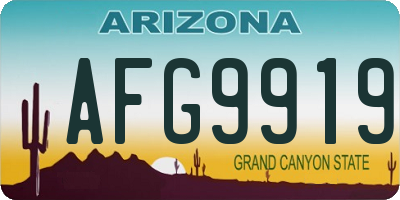 AZ license plate AFG9919
