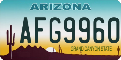 AZ license plate AFG9960