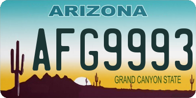 AZ license plate AFG9993