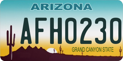 AZ license plate AFH0230