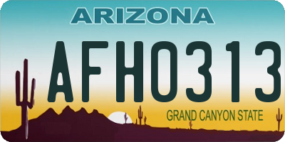 AZ license plate AFH0313