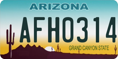 AZ license plate AFH0314